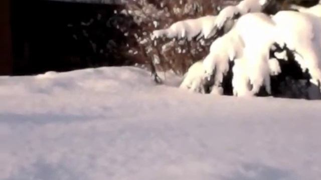 Зимушка-зима смотреть онлайн