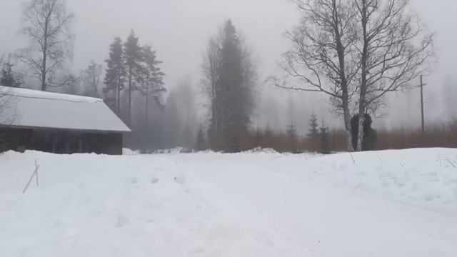 Hyundai and Toyota testing for Sweden ?? смотреть онлайн