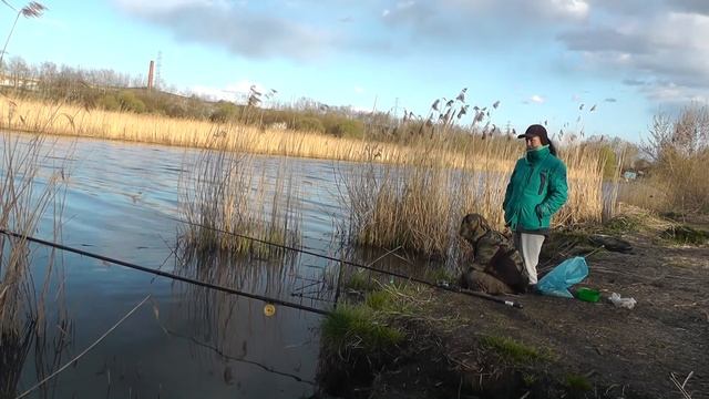 Жор огромного леща. Простой рецепт супер прикормки. Рыбалка на донку смотреть онлайн