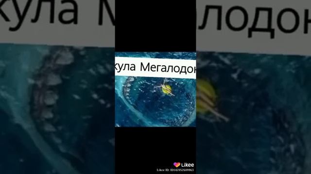 Акула Мегалодона в 2027 выйдет мы будем мертвы ?? смотреть онлайн