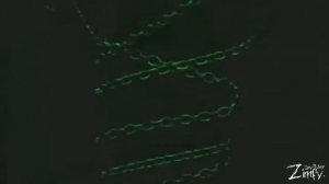 Топ 5 Самых сильных SCP