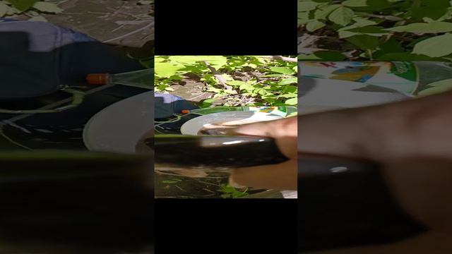 Поймал хорошего Карася. смотреть онлайн