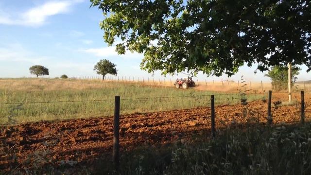 Vicente A. Santos & Filhos L.da (SAME - STIHL) - Estremoz - File 62 смотреть онлайн