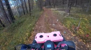 Квадро покатушки/влетел в корягу/Linhai Yamaha D400/