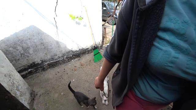 Теперь у нас есть газ! Я счастлива)