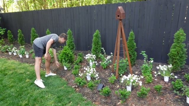 Establishing Our Moon Garden - Part 4 - Annuals | Gardener in Love смотреть онлайн
