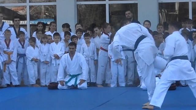 Показательный выступления СКК"Феникс" смотреть онлайн