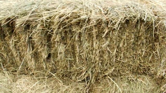 Как заработать на продаже сена