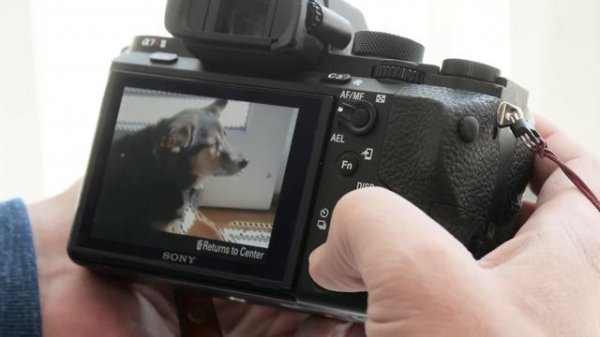 Sony 24-70mm f/2.8 G-Master Review