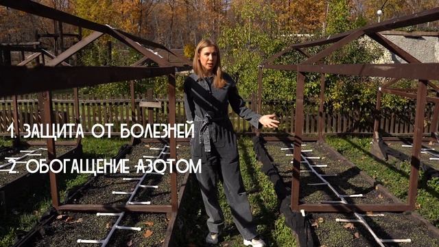 ГОТОВИМ ОГОРОД К ЗИМЕ ПРАВИЛЬНО. ПРО СИДЕРАТЫ смотреть онлайн