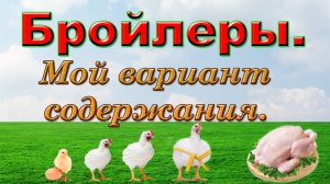 Бройлеры. Автоматика для бройлеров. Клетка своими руками.
