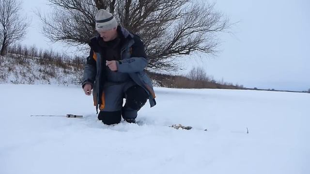 Два окуня сразу клюнули на балансир Lucky John. смотреть онлайн