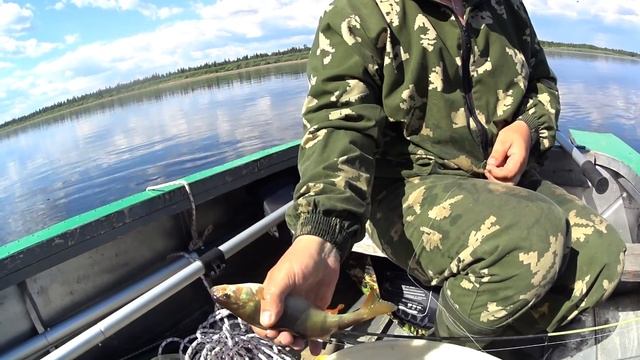 СЕКРЕТНЫЙ способ ловли окуня / Смотри и никому не рассказывай смотреть онлайн