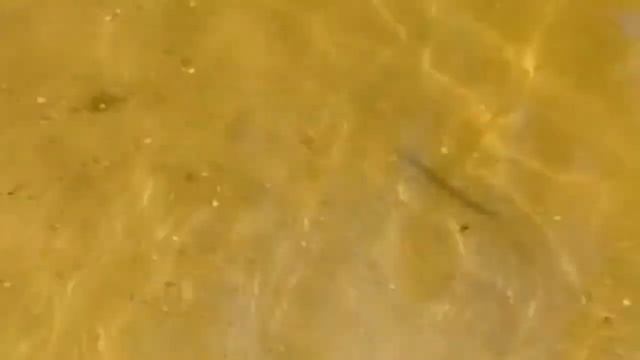 "Запрещенный" поролон или поролоновый конструктор смотреть онлайн