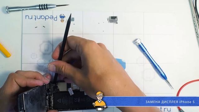 Замена стекла (дисплея) на iPhone 5 в сервисе Pedant.ru смотреть онлайн