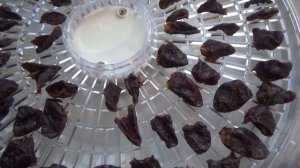 Говяжий рубец и куриные сердечки для собак