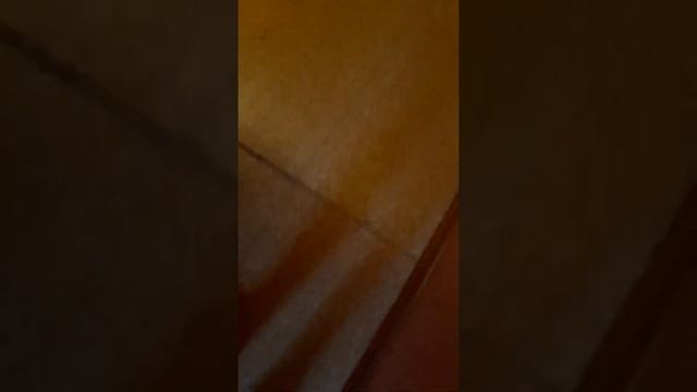 ул. 75 Гвардейской бригады 16 смотреть онлайн