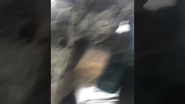 Nice Otter At Beaver Bank Den!