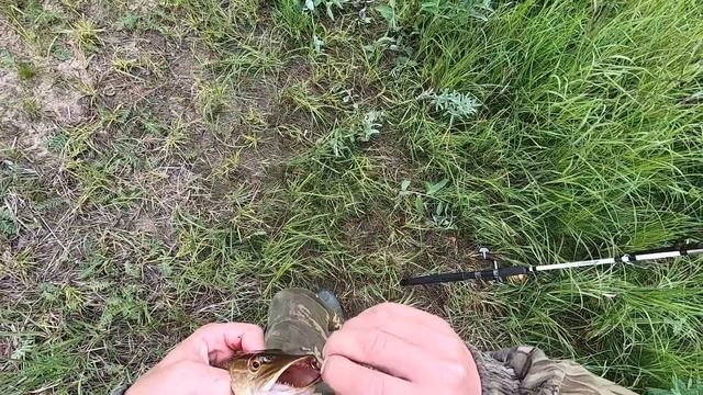 Никогда не сдавайся и всё получится! Рыбалка на дальнем кордоне. смотреть онлайн
