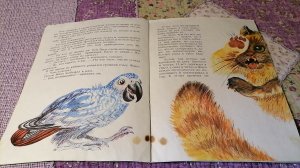 Аудиокнига для детей «Воинственный Жако»