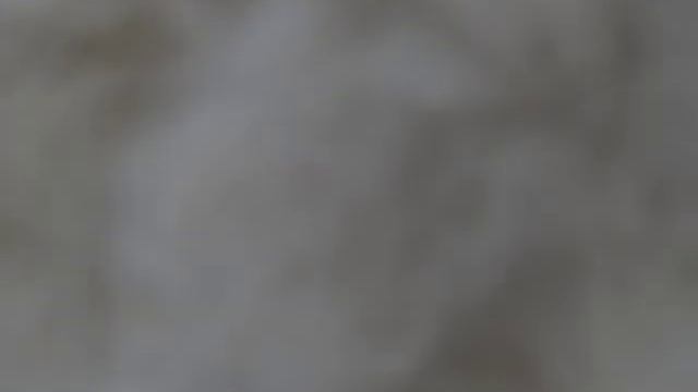 Прядем собачью шерсть. Хаски. Часть 1 смотреть онлайн