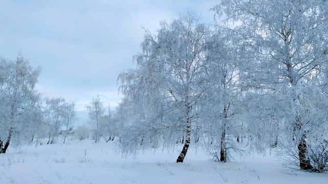 ДЕНЬ СЕРАФИМА САРОВСКОГО 15 января. Ни одна беда не зайдет в дом. Поверьте в чудо смотреть онлайн