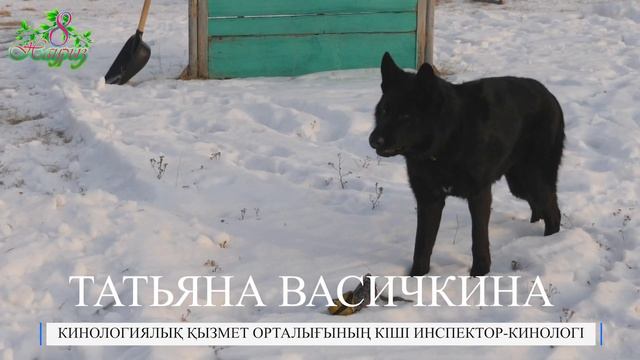 Трогательное видео о роли мамы в жизни офицеров сняли в СКО 2 смотреть онлайн