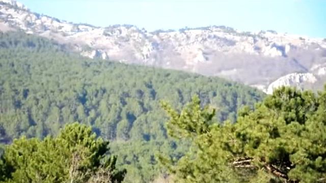 Весна в Крыму. Гурзуф. Crimea Nature смотреть онлайн