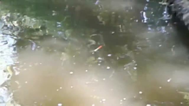 поплавок на ветру.float in the wind. смотреть онлайн