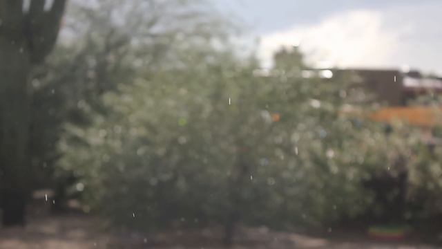 Sufjan Stevens - Futile Devices Music Video смотреть онлайн