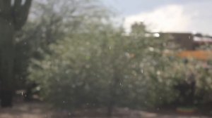 Sufjan Stevens - Futile Devices Music Video