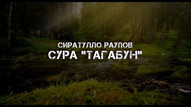 Сиратулло Раупов | Сура «Тагабун» смотреть онлайн