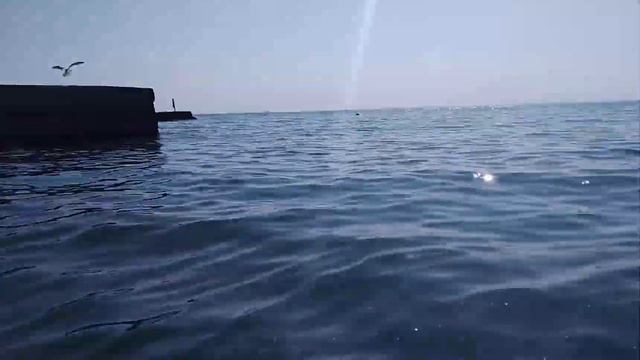 Бросаем манеты в море чтобы вернуться смотреть онлайн