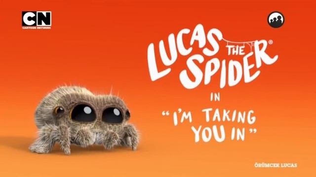 Örümcek Lucas 17 Mart 2023 İzle (Seni İçeri Alıyorum) смотреть онлайн
