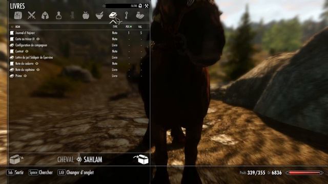 Skyrim & Mods - L'aventure Par Steph Ep34 - Let's Play FR