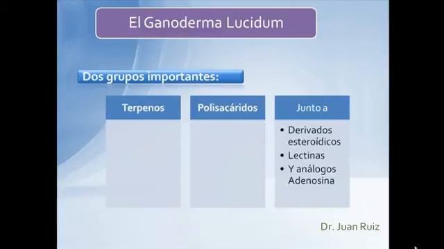 Propiedades Curativas Ganoderma Lucidum / Reishi por Dr Juan Ruiz смотреть онлайн