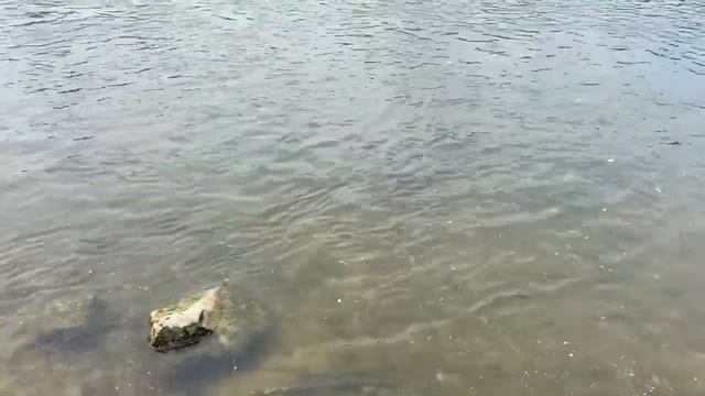 Как отдыхают парижане смотреть онлайн