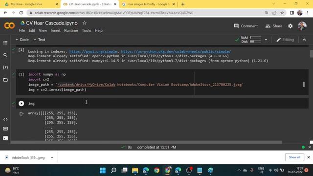 Step by Step Guide for Object Detection | Haar Cascade Data | Computer Vision | by Jaya Gupta смотреть онлайн