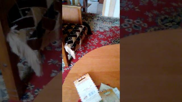 Семена. На. Зависть. Соседу смотреть онлайн