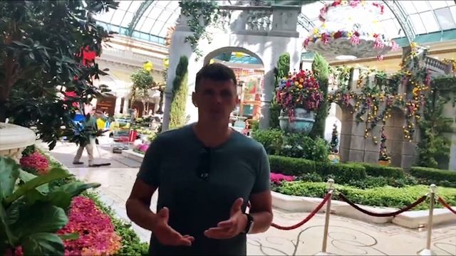 Пример о том, как учат email маркетологов в Штатах смотреть онлайн