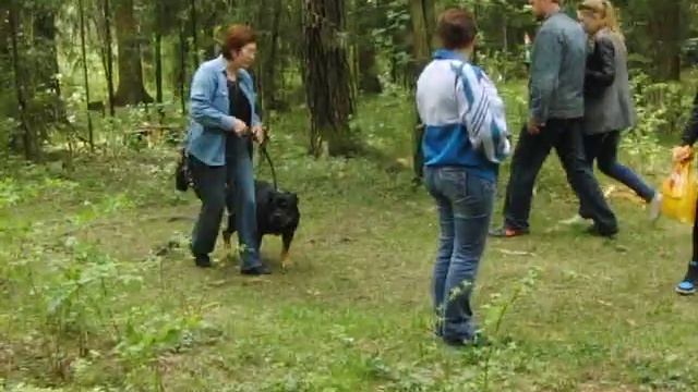 Тест Т1 РКФ 2 смотреть онлайн