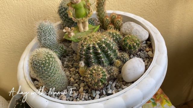 LET’S PLANT AND MAKE A CACTUS DISH GARDEN! l Mama E смотреть онлайн