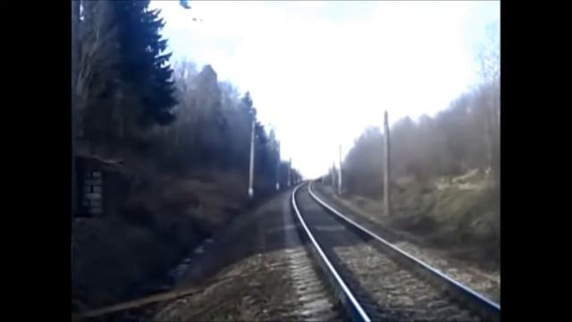 Русская гончая Потешай ВПКОС 3097/09 рождения 23.04 2008г. вл. Шамгина А.Ю. смотреть онлайн