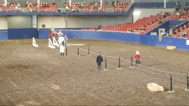 Real Live Jousting With Horses Livestream! смотреть онлайн