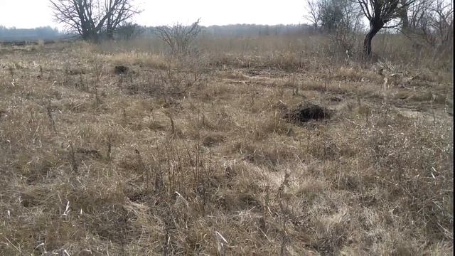 Копаем чермет. Прощание с последним снегом ))) смотреть онлайн