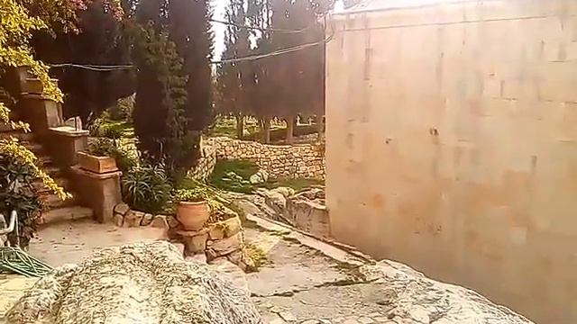 13. Иерусалим. Израиль. От Львиных ворот до Гефсимании. Путеводитель по Святым местам Иерусалима. смотреть онлайн