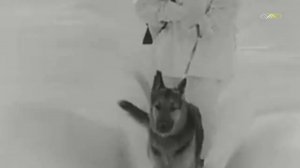 Здесь метель и вьюга -- Вадим Мулерман - 1970