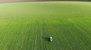 Подкормка карбамидом озимой пшеницы в мае. #СельхозТехникаТВ