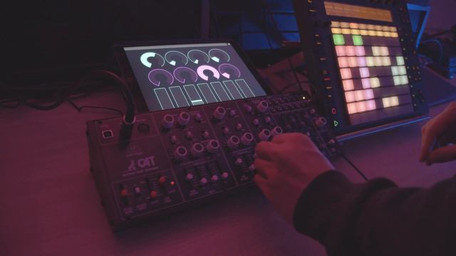 Behringer Cat - Deep Techno Performance смотреть онлайн