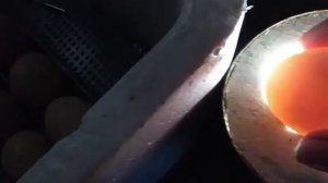 Овоскопирование куриных яиц. Второй период инкубации.